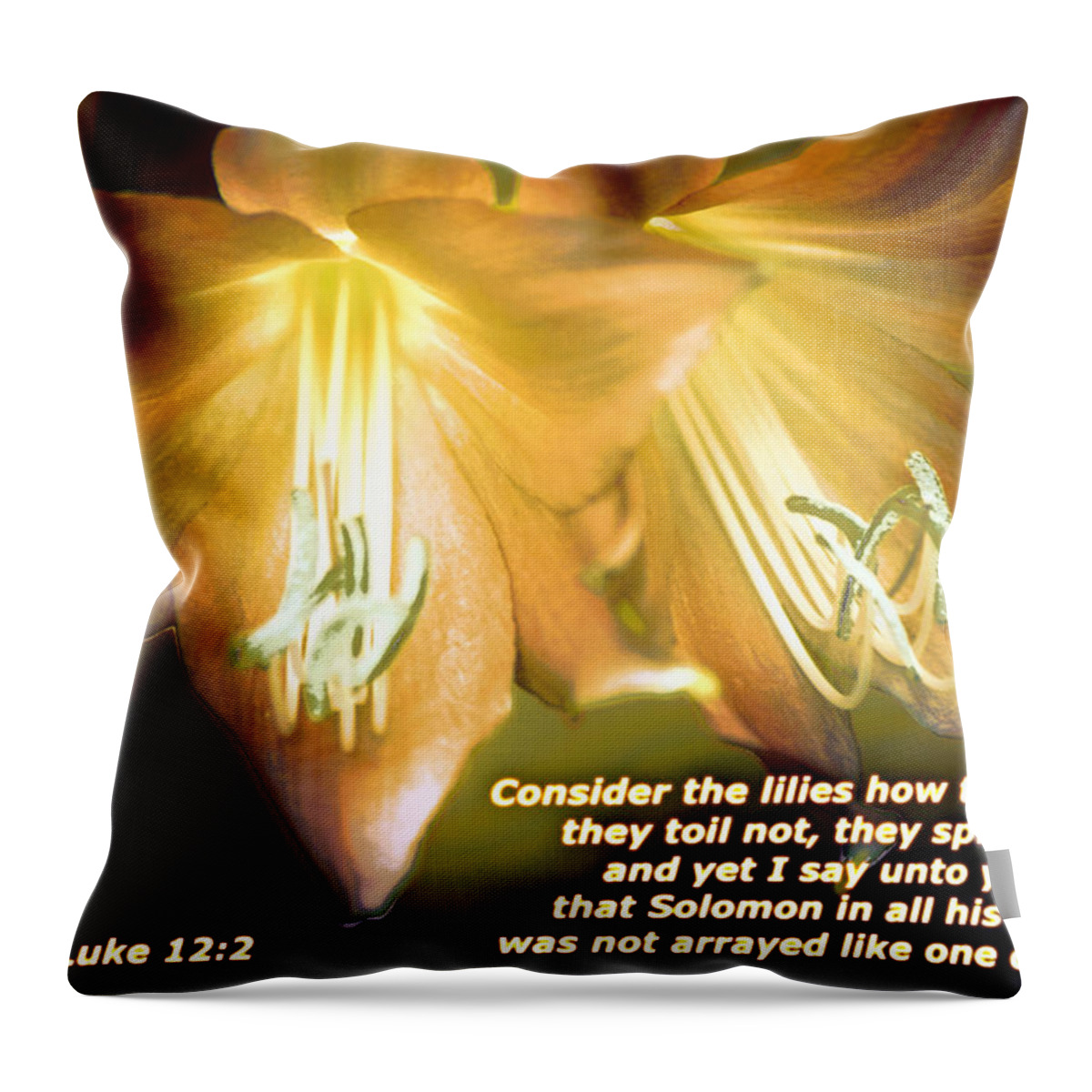 Consider The Lilies Throw Pillow featuring the photograph Consider the Lilies #1 by Sheri McLeroy