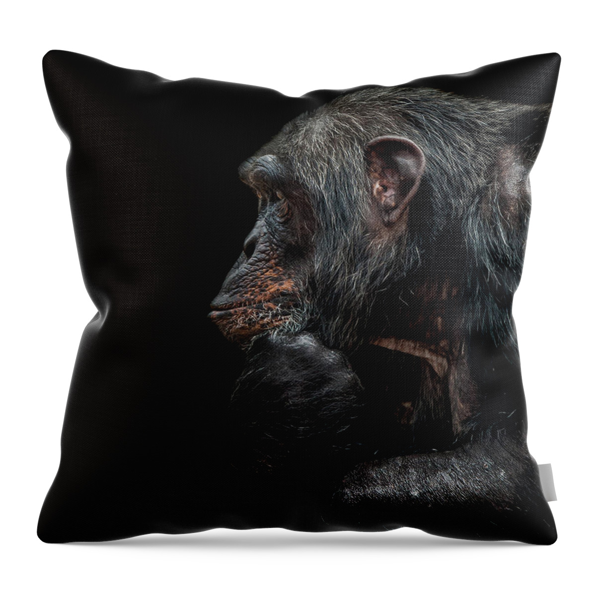 Chimpanzee Throw Pillow featuring the photograph Contemplation #1 by Paul Neville