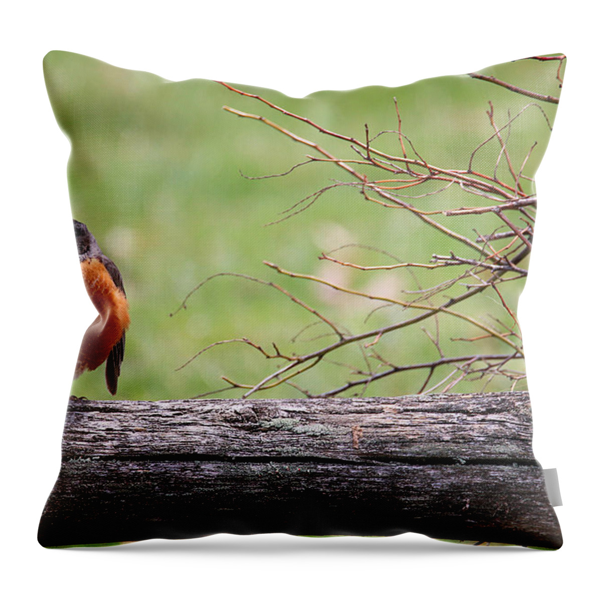 Red Robin Throw Pillow featuring the photograph Country Living #1 by Living Color Photography Lorraine Lynch