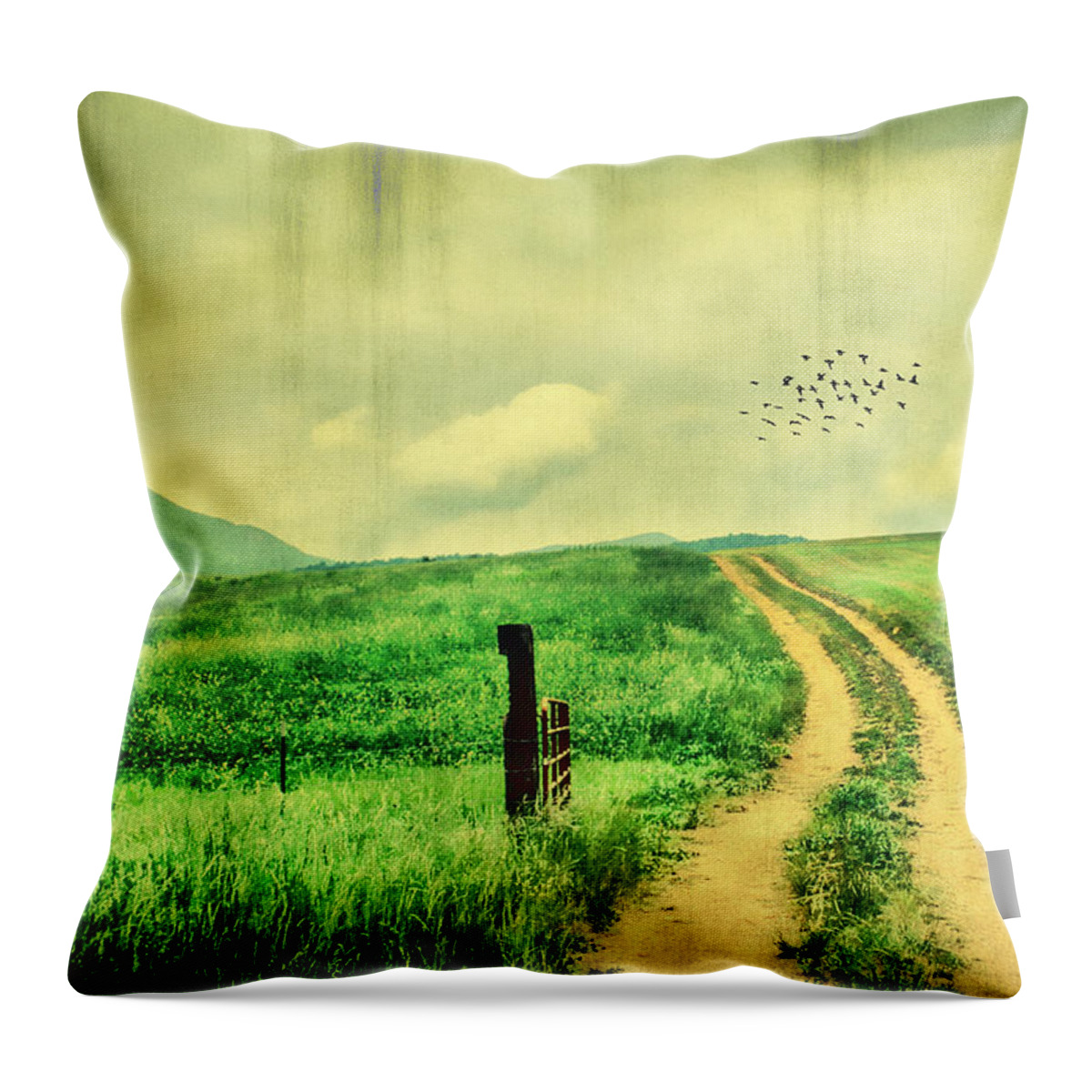 Agriculture Throw Pillow featuring the photograph Country Roads #1 by Darren Fisher
