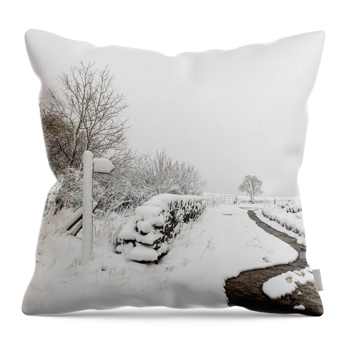 Snow Throw Pillow featuring the photograph Countryside lane #1 by Chris Smith