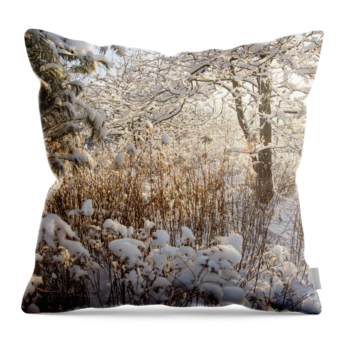 Maine Throw Pillow featuring the photograph Covered in Snow #1 by Alana Ranney