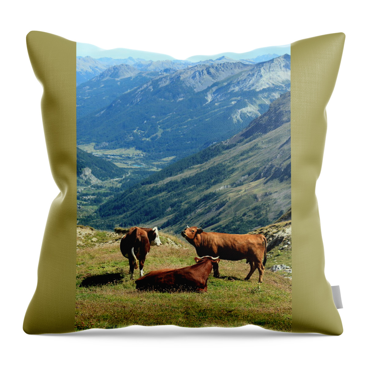 Agriculture Throw Pillow featuring the photograph Cows at the Galibier pass, France #1 by Elenarts - Elena Duvernay photo