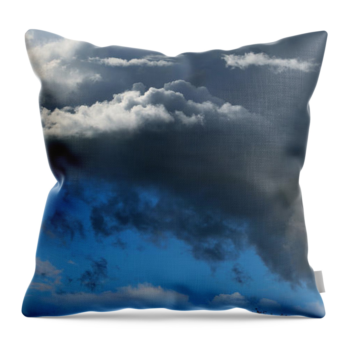 Two-rock Valley Throw Pillow featuring the photograph Cows Grazing Under Dramatic Clouds #1 by Wernher Krutein
