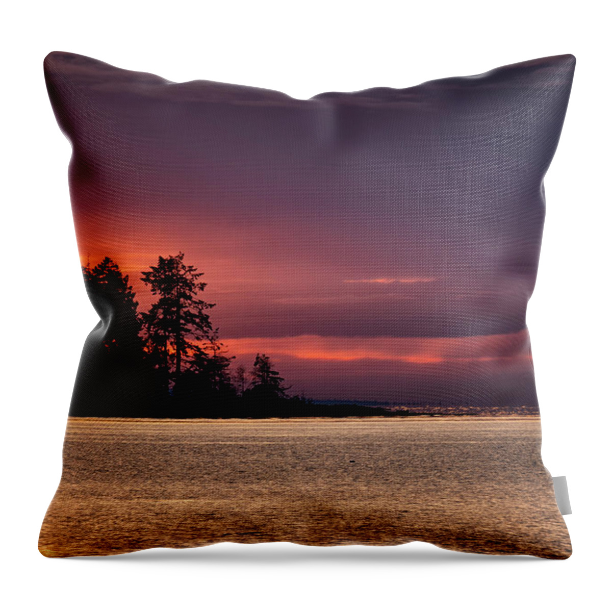 Rathtrevor Park Throw Pillow featuring the photograph Craig Bay Sunset #1 by Randy Hall