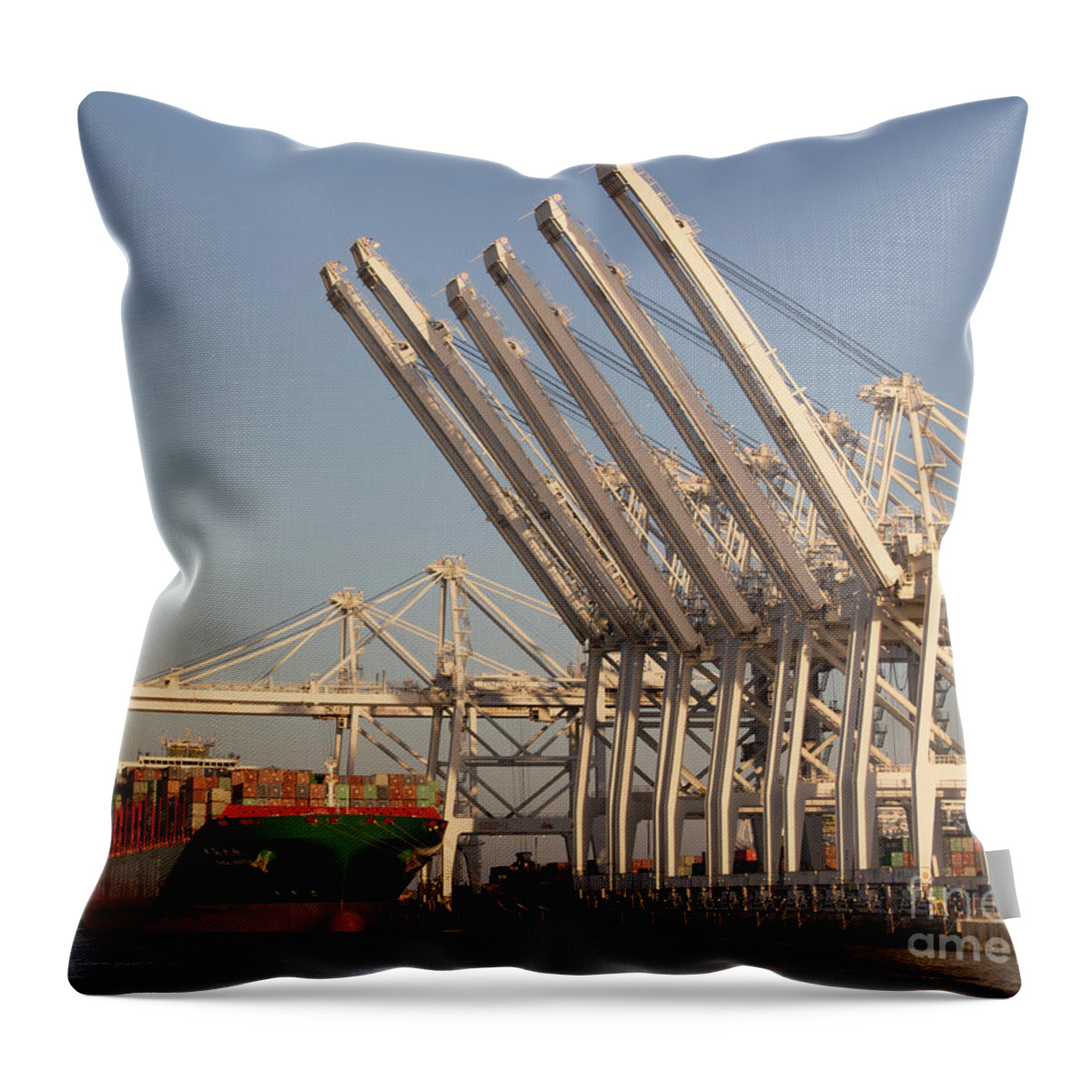 Cranes Throw Pillow featuring the photograph Cranes 6 by Cheryl Del Toro