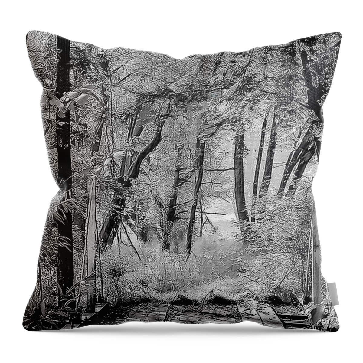 Black And White Throw Pillow featuring the photograph Crossing Over #1 by Wild Thing