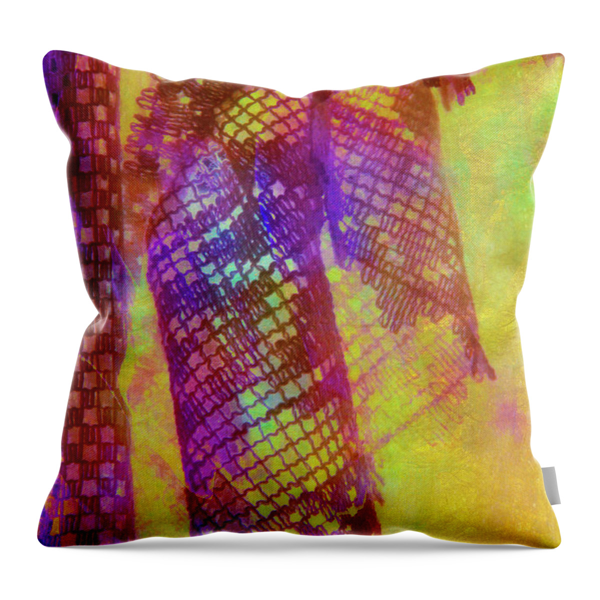 Curtains Throw Pillow featuring the photograph Curtains #1 by Judi Bagwell