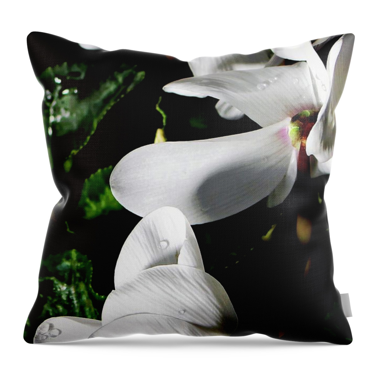 Cyclamen Throw Pillow featuring the photograph Cyclamen #1 by Mindy Newman