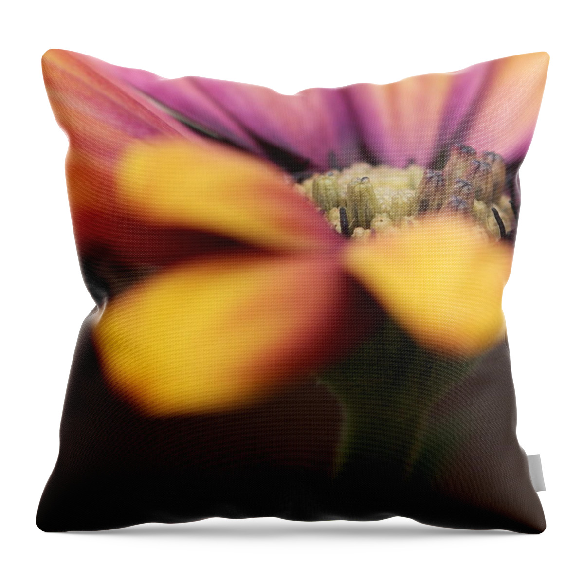 Flower Throw Pillow featuring the photograph Daisy #1 by Chris Smith