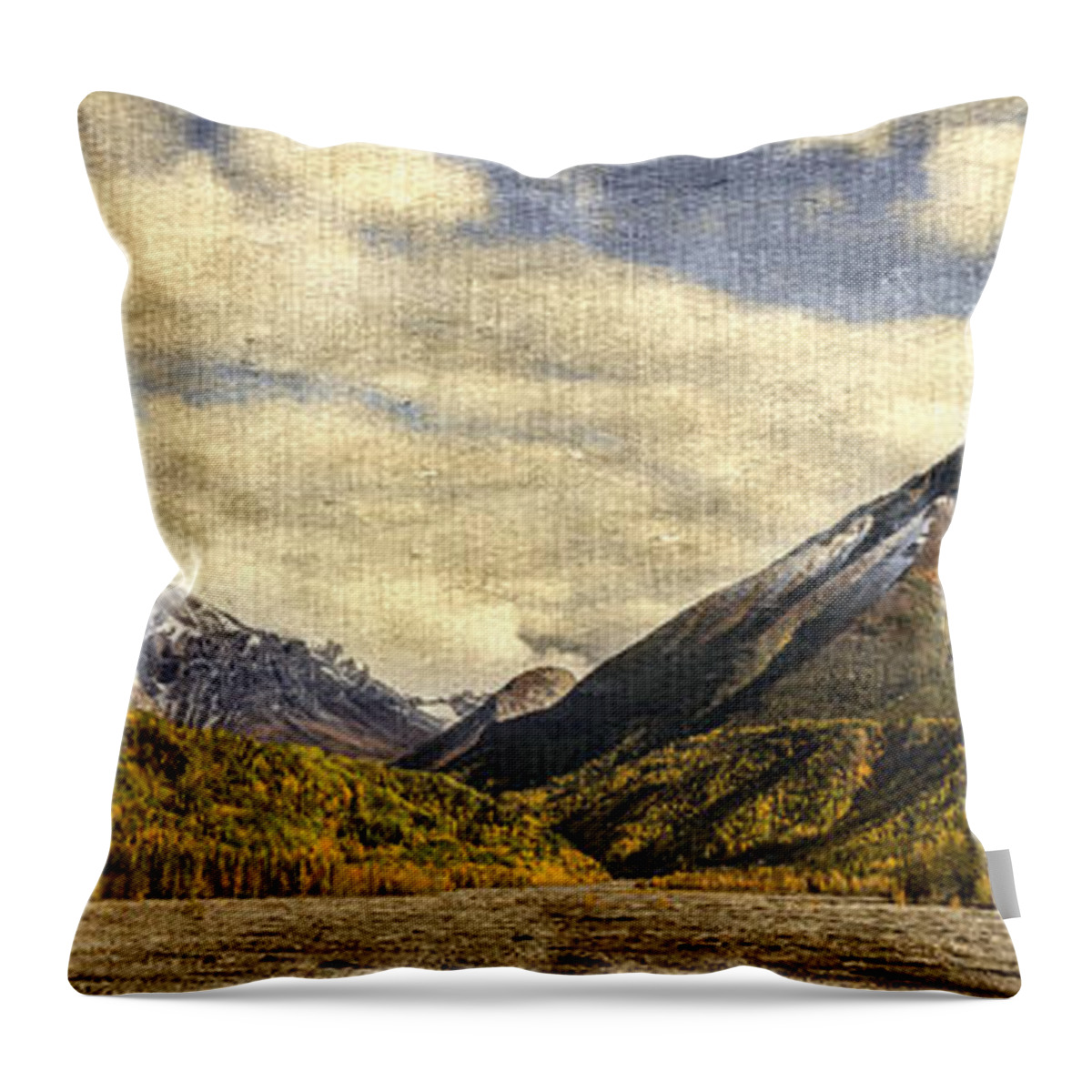 Mountains Throw Pillow featuring the photograph Dan Creek Alaska by Fred Denner