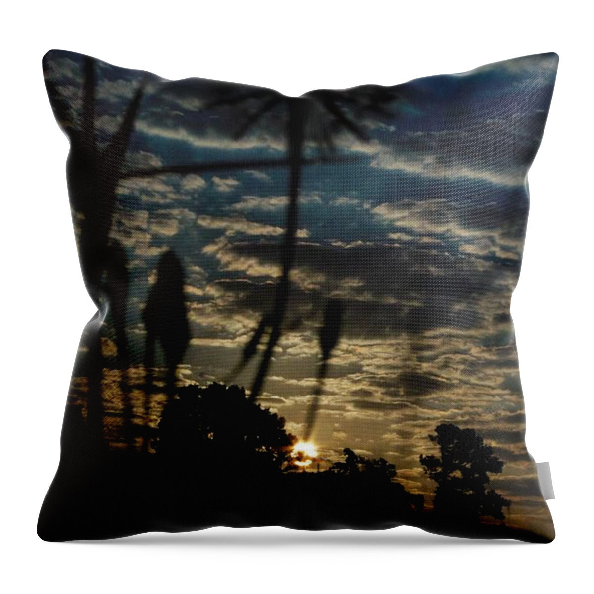 Dandilion Throw Pillow featuring the photograph Good Day Sunshine by John Glass