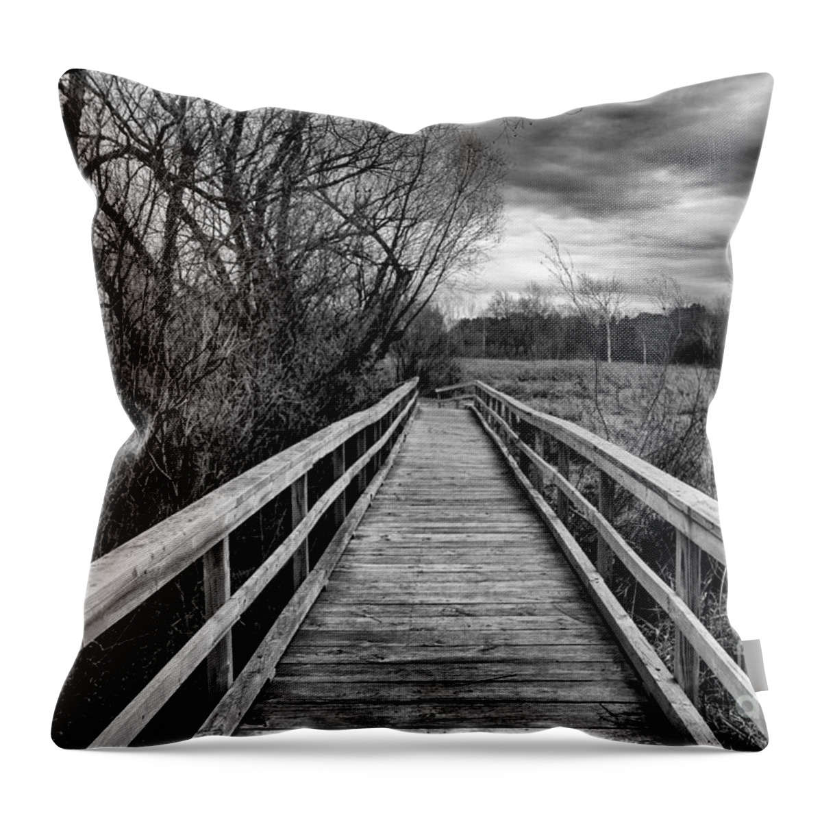 Black And White Throw Pillow featuring the photograph Dark and Twisty #1 by CJ Benson