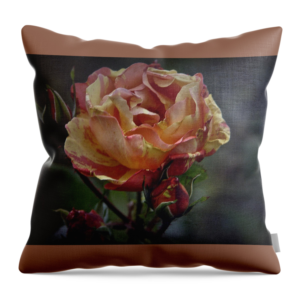 Rose Throw Pillow featuring the photograph December Rose #1 by Richard Cummings