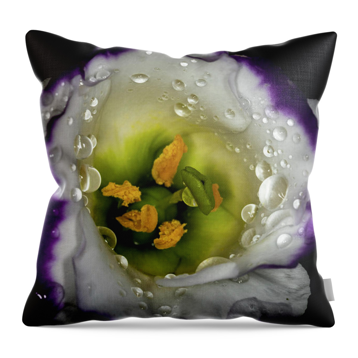 Jay Stockhaus Throw Pillow featuring the photograph Deep Inside #1 by Jay Stockhaus