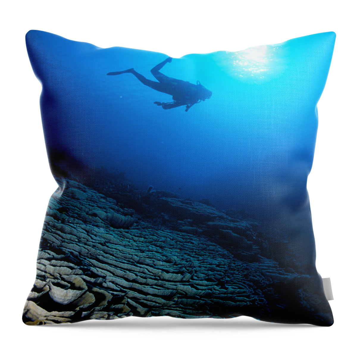 Blue Throw Pillow featuring the photograph Diving Scene #1 by Ed Robinson - Printscapes