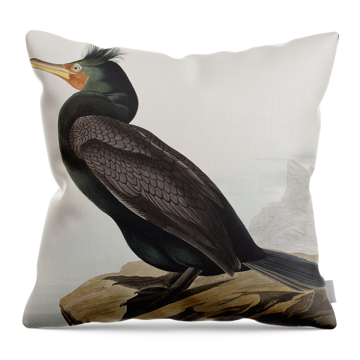 Cormorant Throw Pillow featuring the painting Double-crested Cormorant by John James Audubon