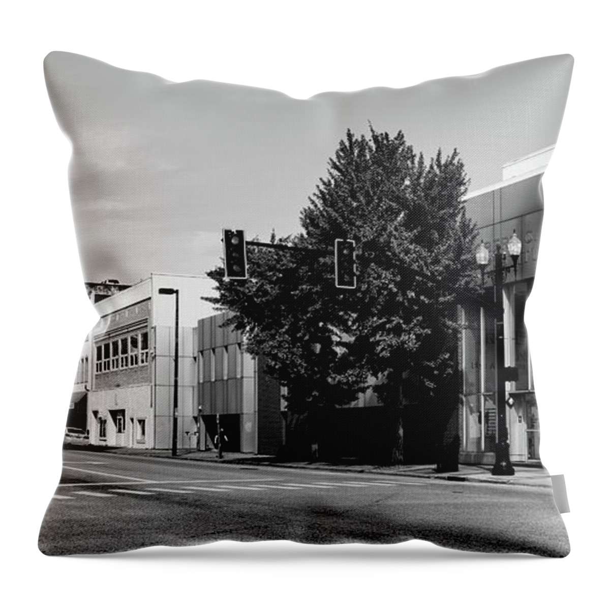 Huntington Throw Pillow featuring the photograph Downtown Huntington West Virginia #1 by Mountain Dreams