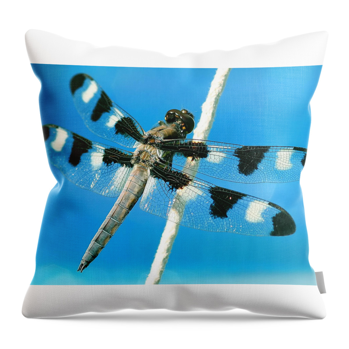 Dragonfly Throw Pillow featuring the photograph Dragonfly #1 by Mariel Mcmeeking