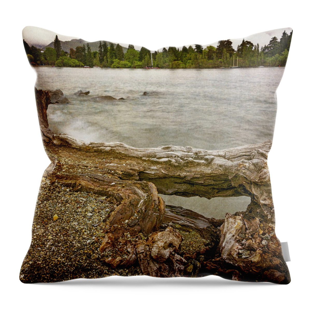 Joan Carroll Throw Pillow featuring the photograph Lakeside Driftwood by Joan Carroll
