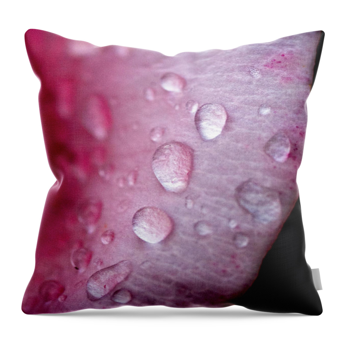 Petal Throw Pillow featuring the photograph Droplets On Pink #1 by Christopher Holmes