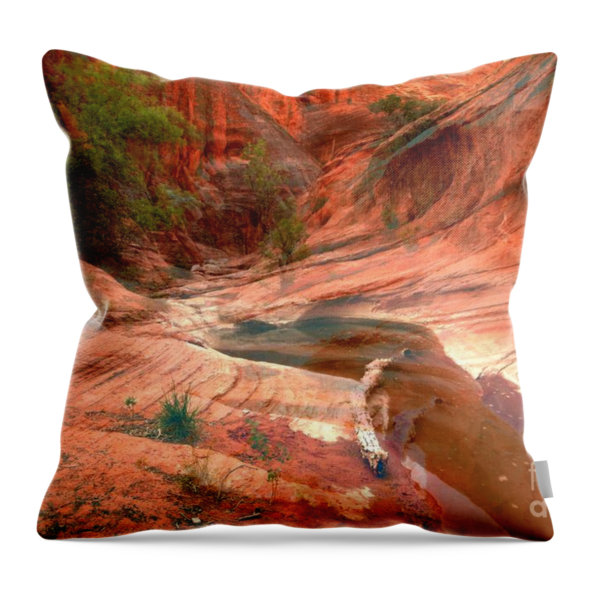 Slot Canyon Throw Pillow featuring the photograph Drying Out #1 by Adam Jewell