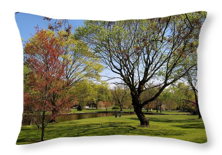 Landscape Throw Pillow featuring the photograph Early Spring #2 by John Scates