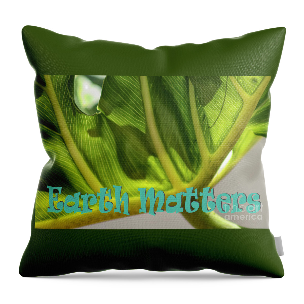 Leaf Throw Pillow featuring the photograph Earth Matters Leaf #2 by Karen Adams