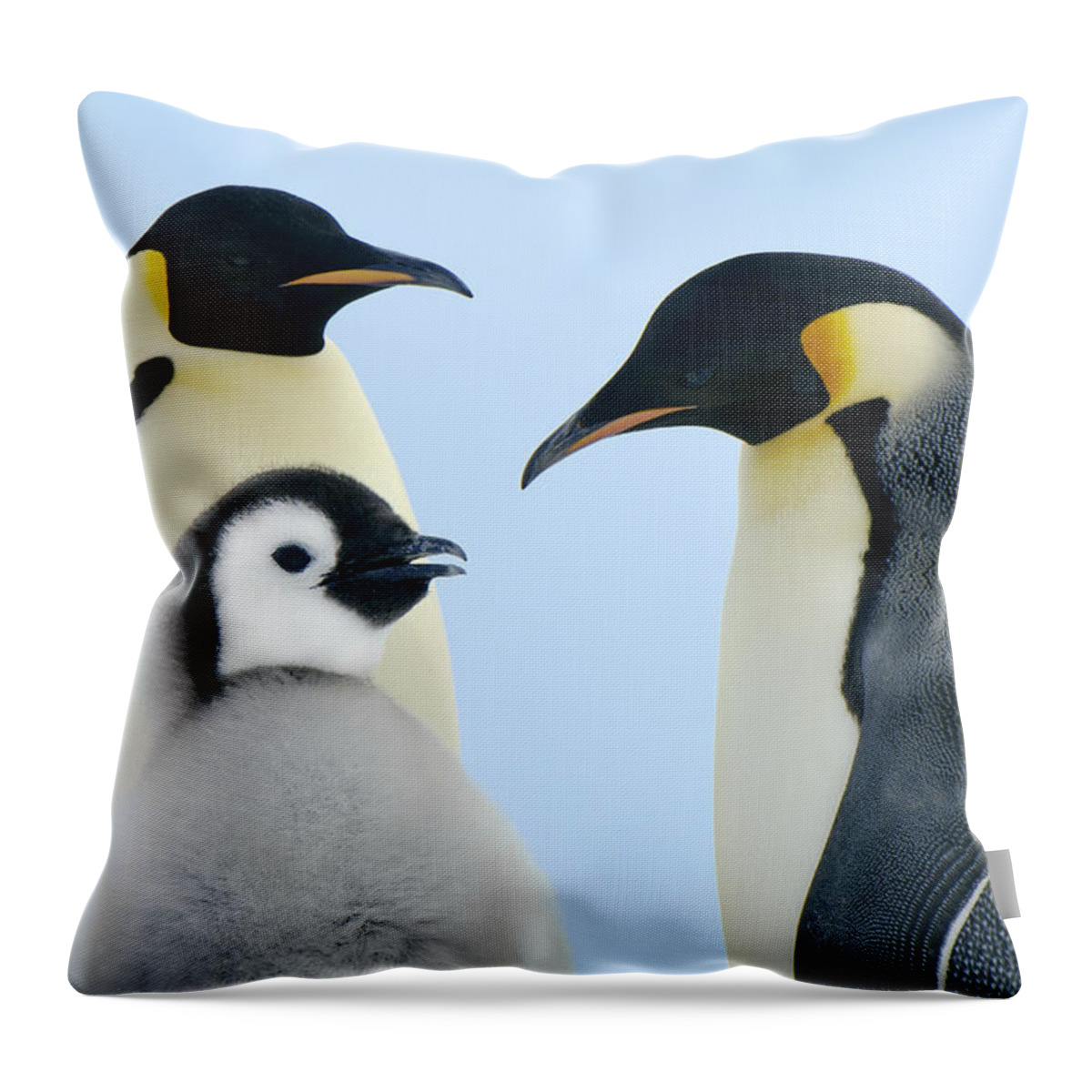 00285262 Throw Pillow featuring the photograph Emperor Penguin Aptenodytes Forsteri by Jan Vermeer