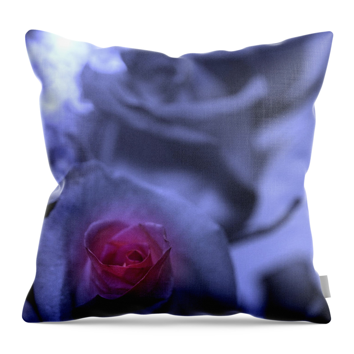 Rose Throw Pillow featuring the photograph Eternal glow #1 by Teri Schuster