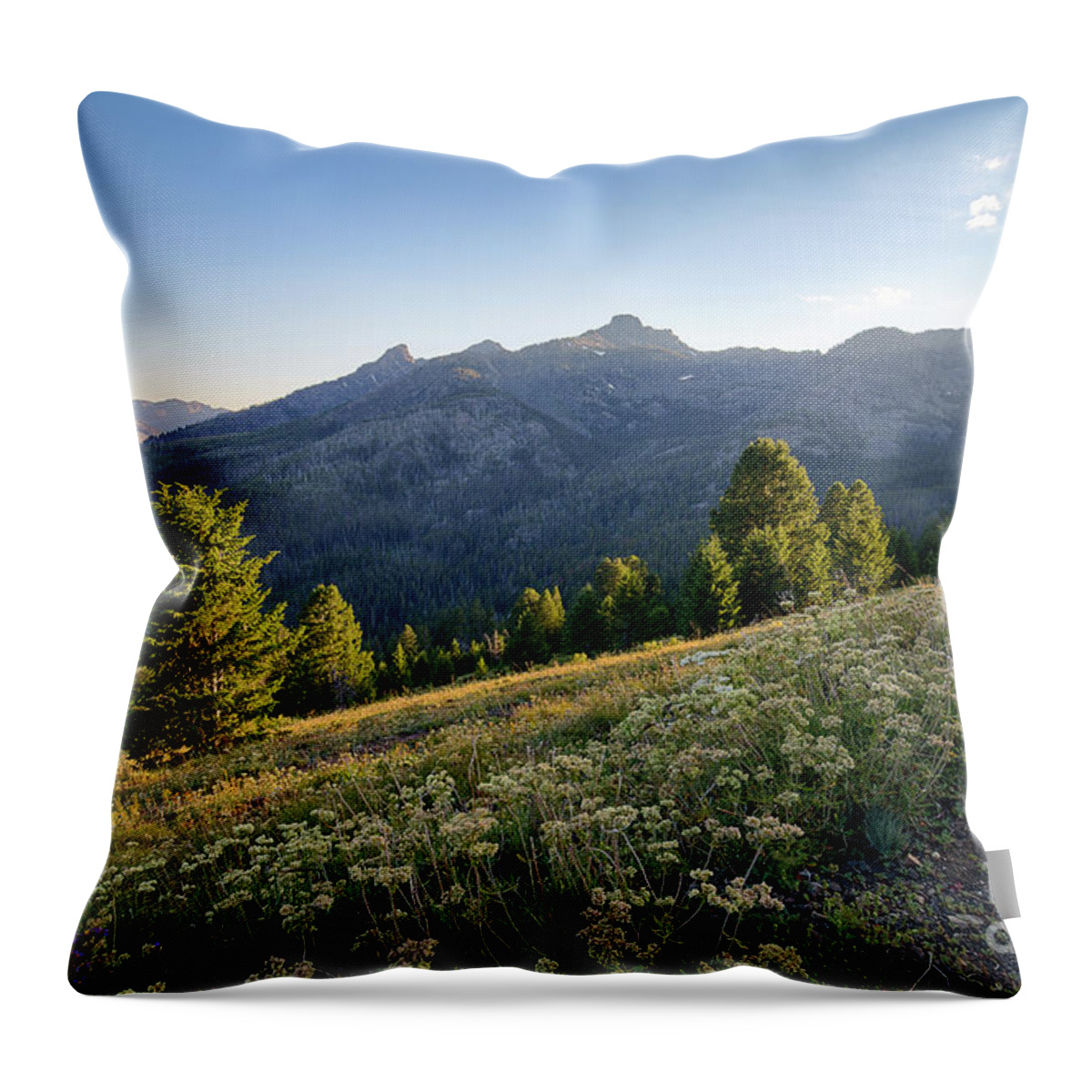Idaho Throw Pillow featuring the photograph Evening Light #1 by Idaho Scenic Images Linda Lantzy
