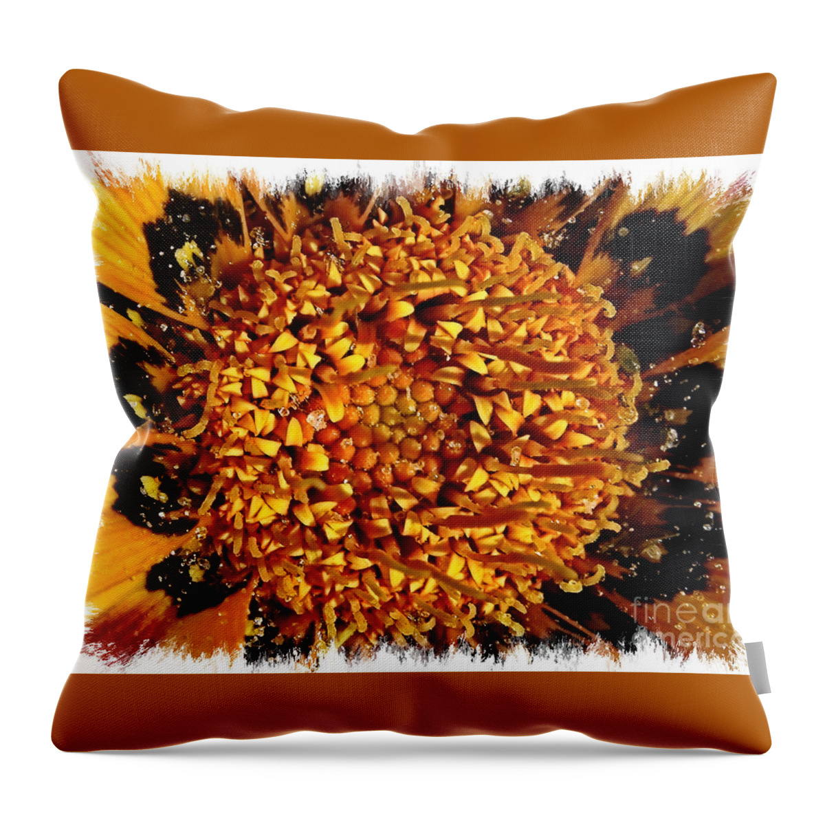 Nature Abstract Throw Pillow featuring the photograph Explosion of Color Closeup with Framing #1 by Carol Groenen