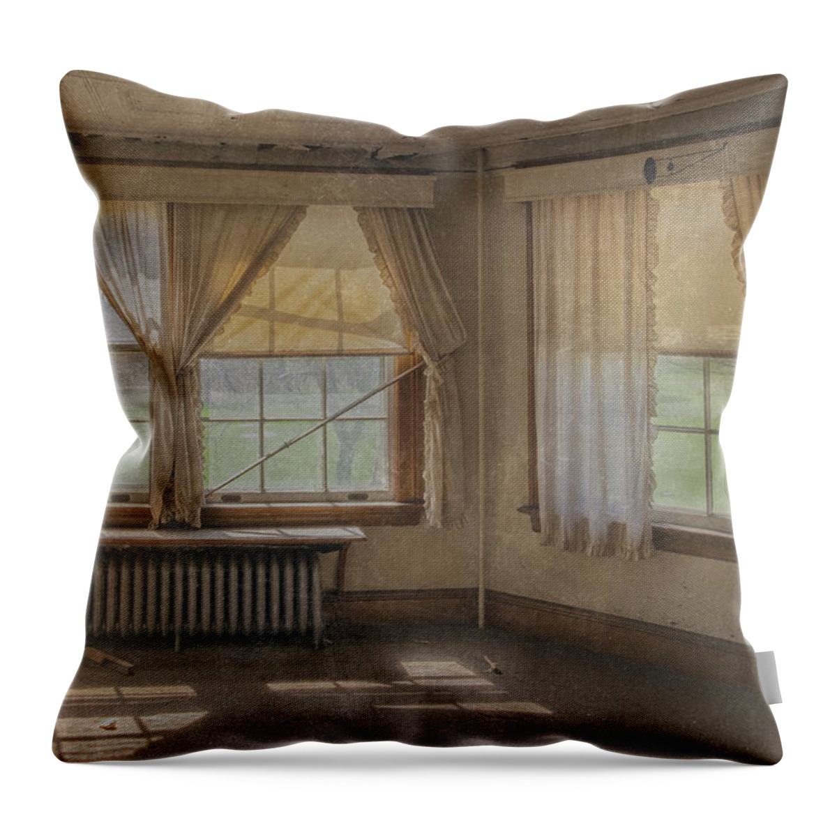 He Brattleboro Retreat Meadows Throw Pillow featuring the photograph Faded Elegance #1 by Tom Singleton