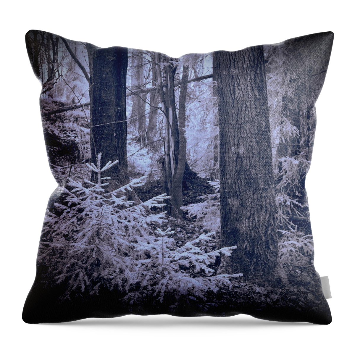 Jouko Lehto Throw Pillow featuring the photograph Fairy forest. Infrared by Jouko Lehto