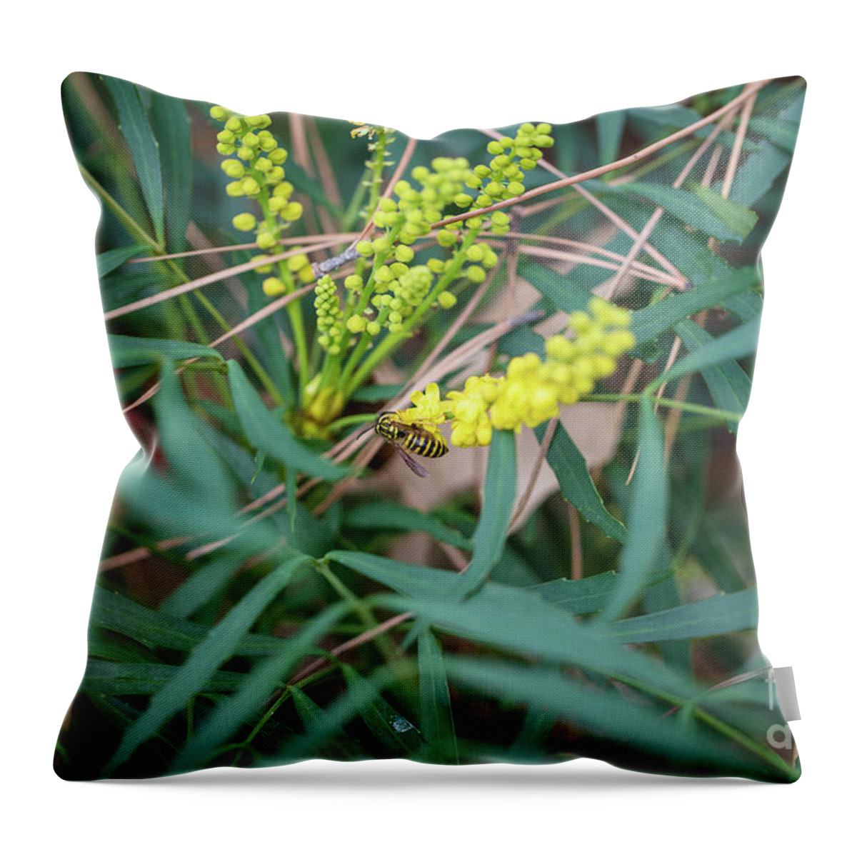 Scenic Throw Pillow featuring the photograph Fall Color 5528 38 #1 by M K Miller