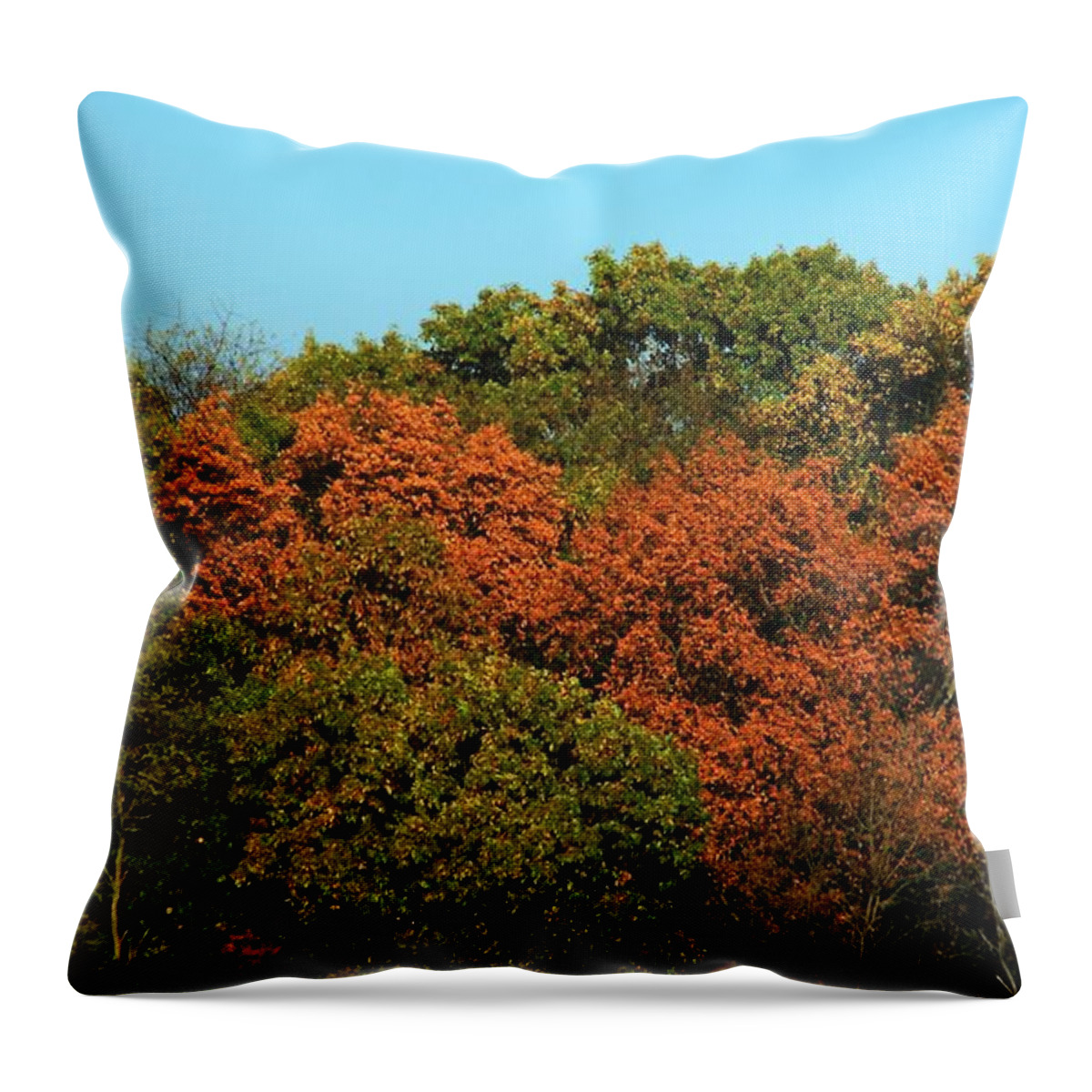 Fall Throw Pillow featuring the photograph Fall colors 16 #1 by Karl Rose