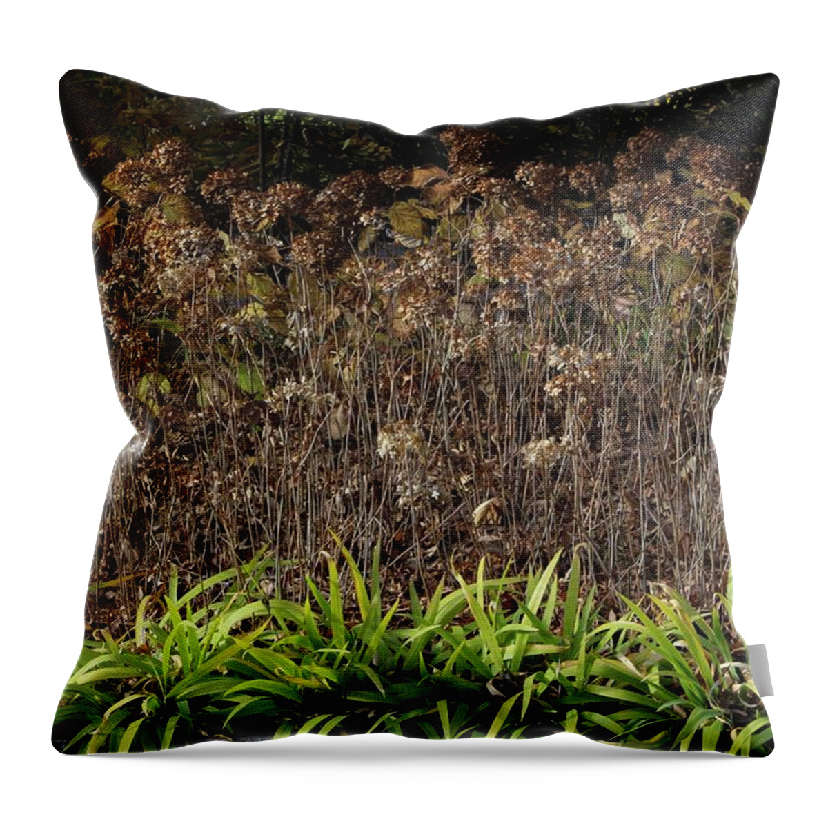 Floral Throw Pillow featuring the photograph Fall Contrasts #1 by Deborah Crew-Johnson