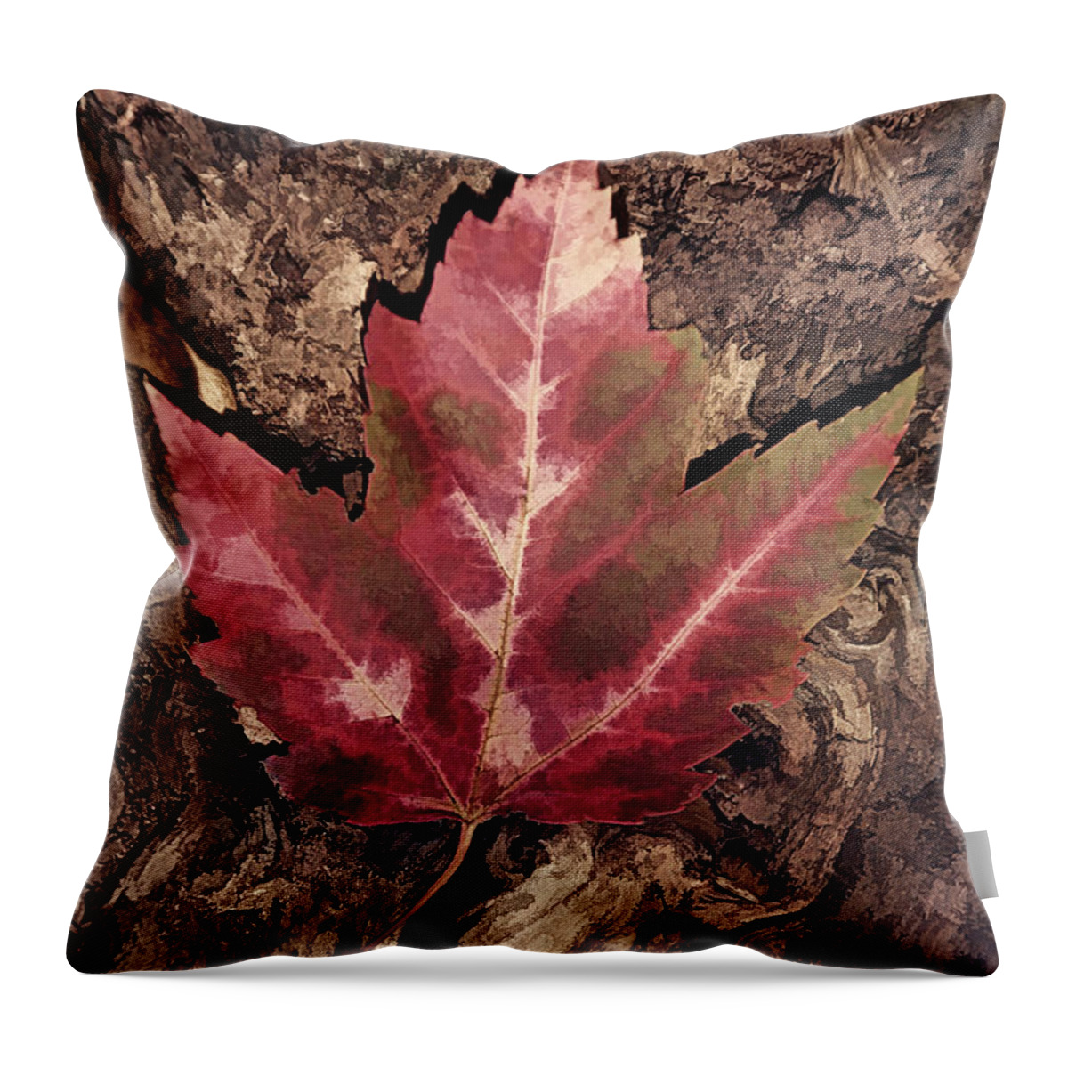 Leaf Throw Pillow featuring the photograph Fallen Leaf #1 by Leda Robertson