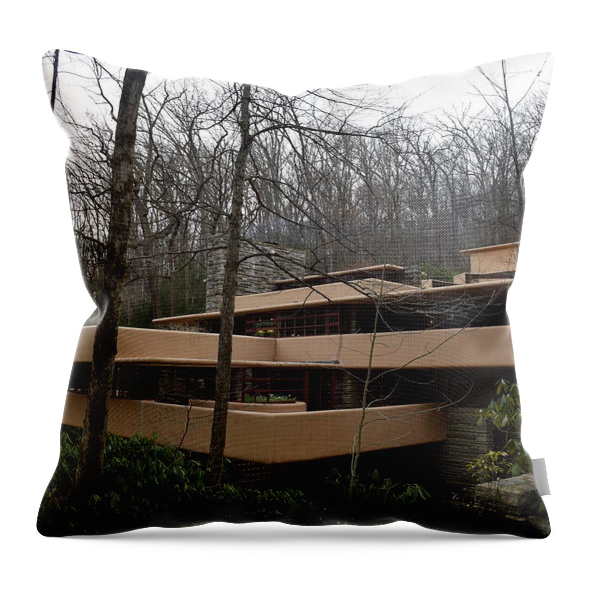 Falling Water Throw Pillow featuring the photograph Fallingwater #1 by Curtis Krusie