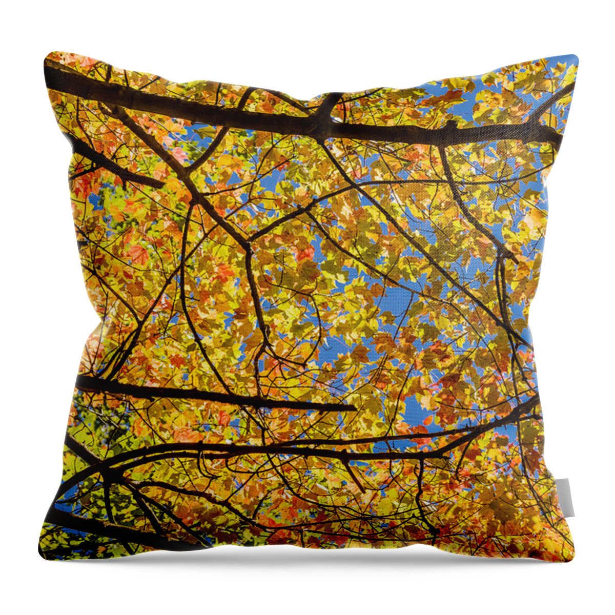 New Jersey Throw Pillow featuring the photograph Fall's approach #1 by SAURAVphoto Online Store