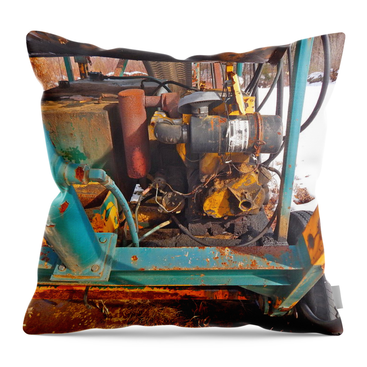 Landscape Throw Pillow featuring the photograph Feb 2016 33 by George Ramos
