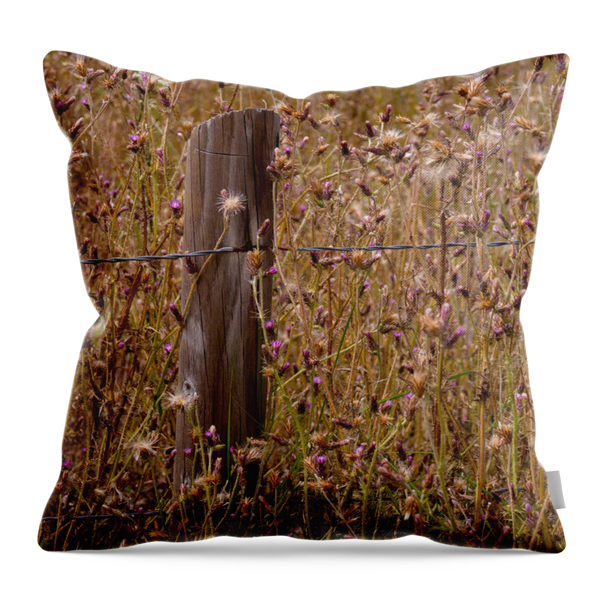 Fence Throw Pillow featuring the photograph Fenced In #1 by Derek Dean