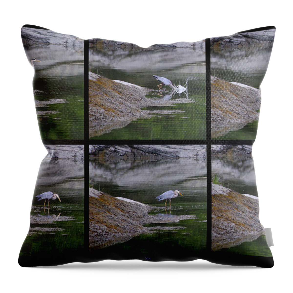 Great Blue Heron Throw Pillow featuring the photograph Fishing by John Meader