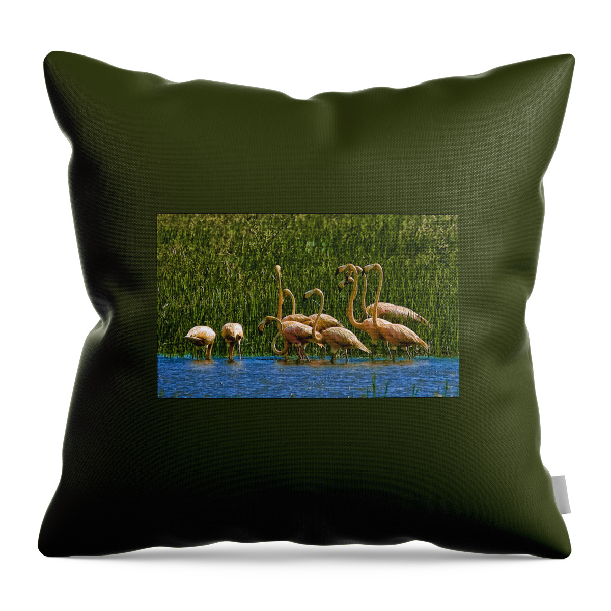 Flamingos Throw Pillow featuring the photograph Flamingo Family #1 by Galeria Trompiz