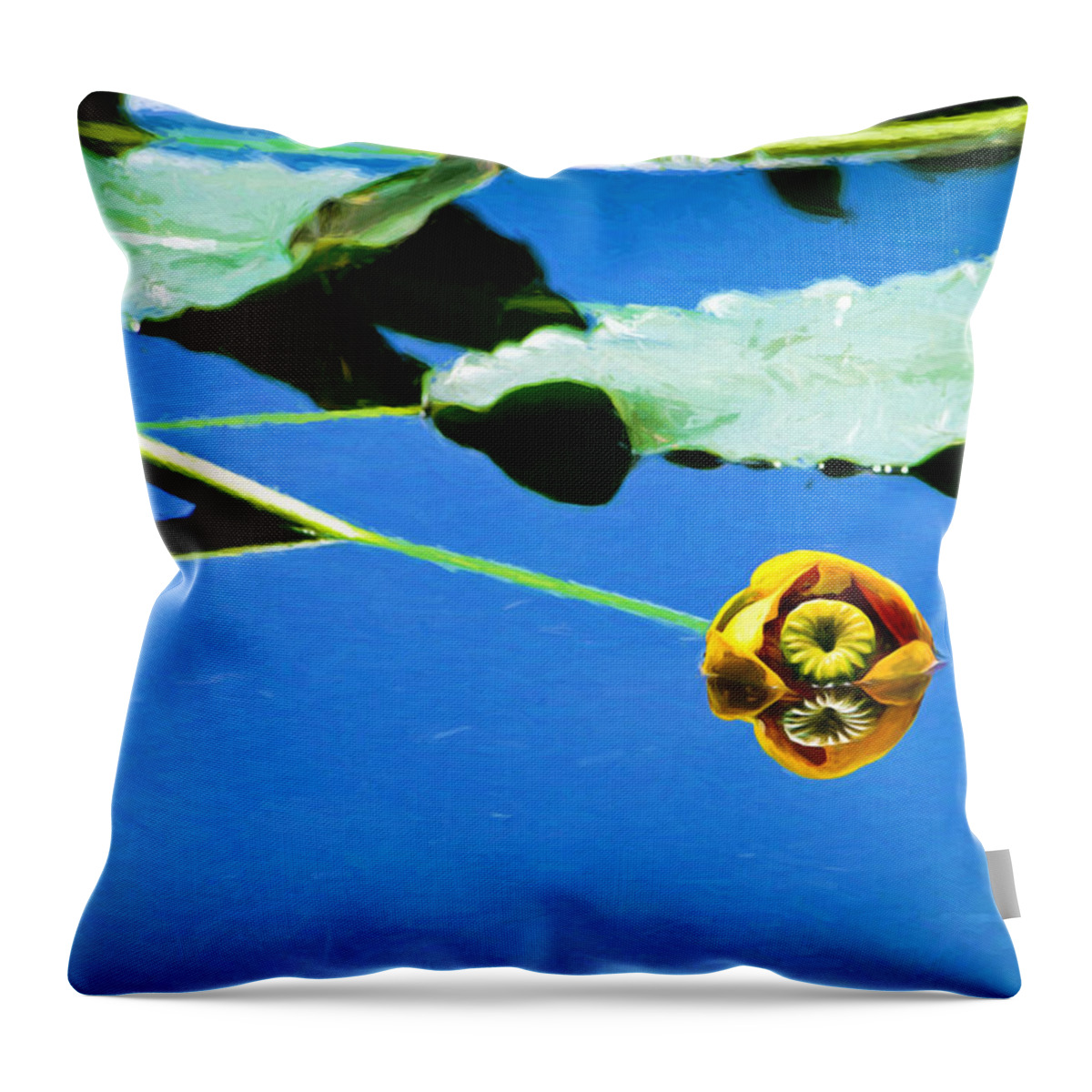 Lily Throw Pillow featuring the photograph Floating Lily #2 by Greg Norrell