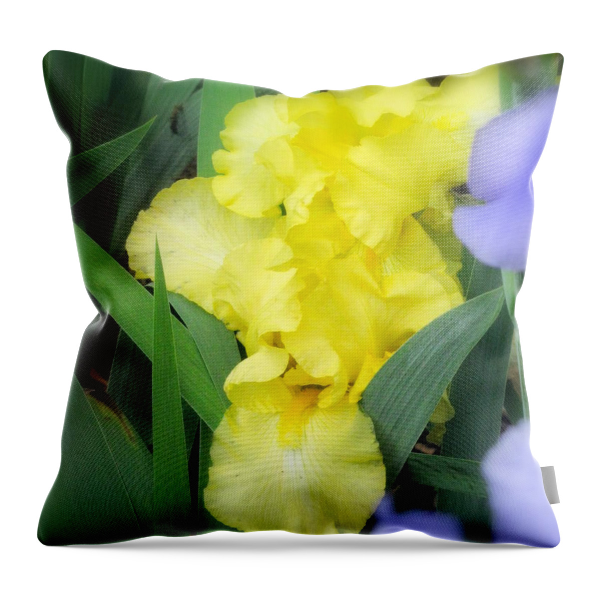 Flowers Throw Pillow featuring the photograph Flowering Forth #1 by Deborah Crew-Johnson