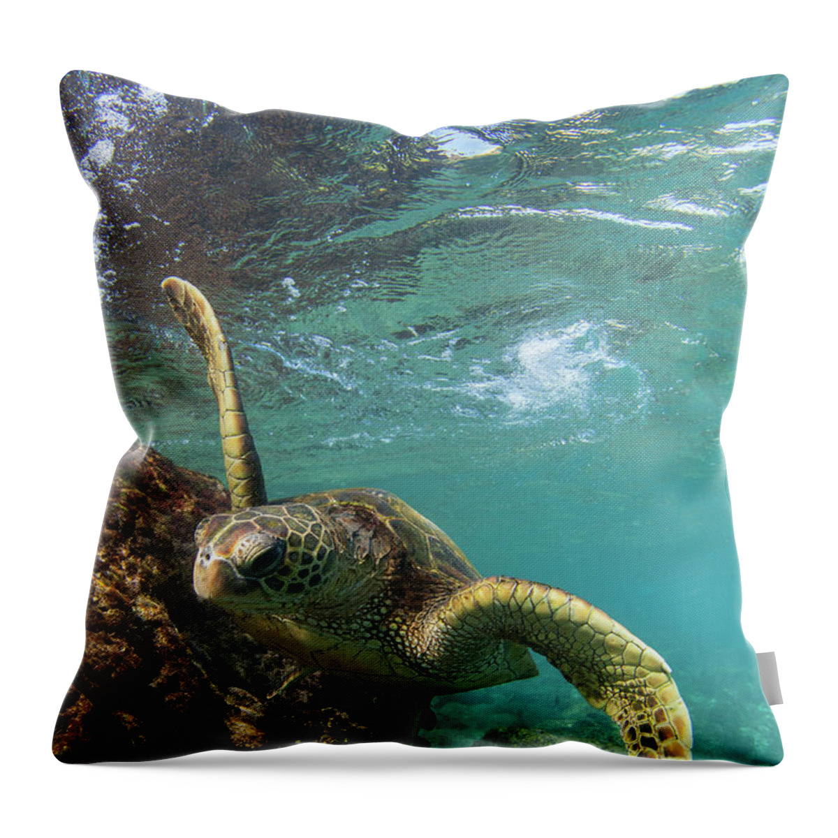 Maui Hawaii Green Sea Turtle Black Rock Ocean Throw Pillow featuring the photograph Flying #1 by James Roemmling