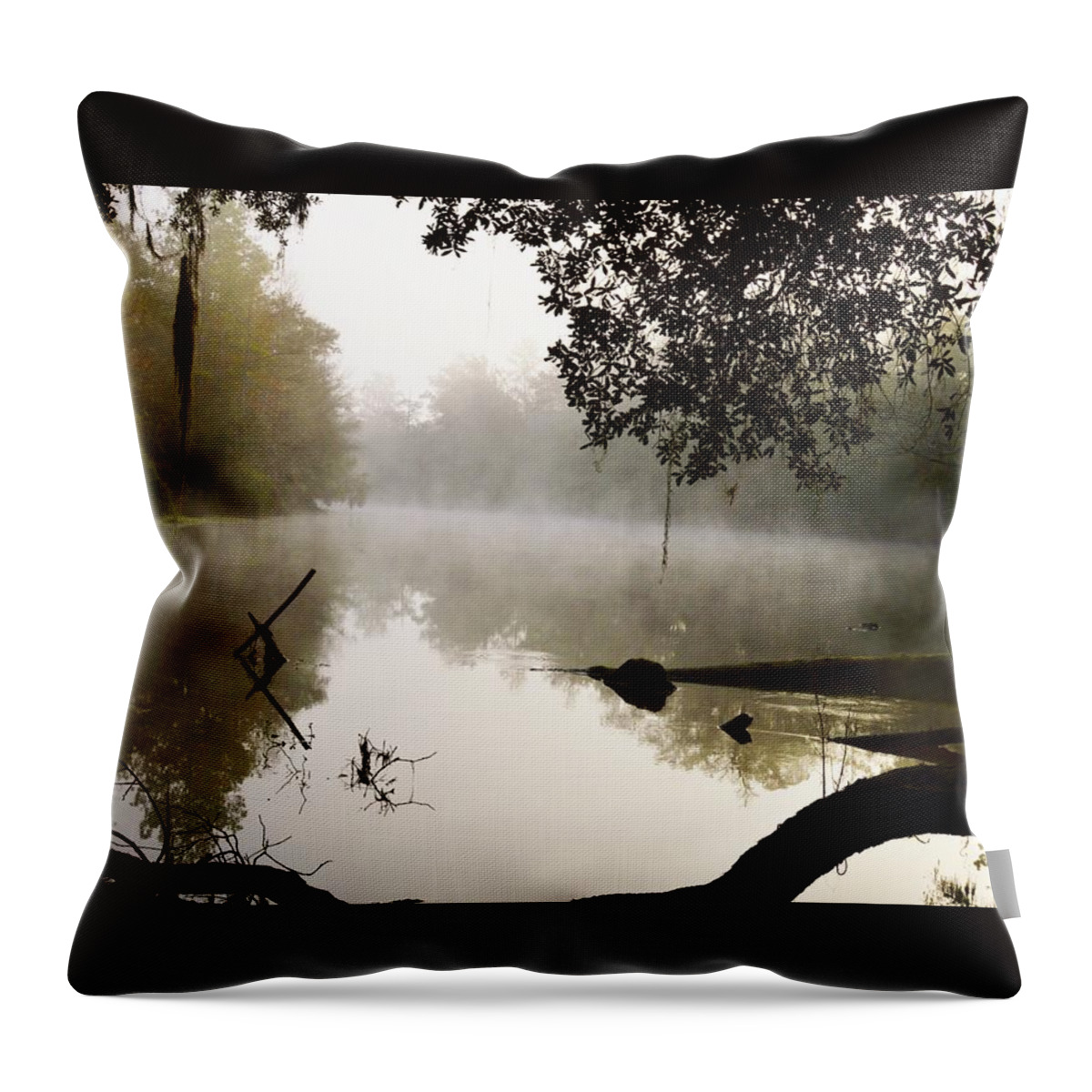Fog And Light Throw Pillow featuring the photograph Fog and Light #1 by Warren Thompson