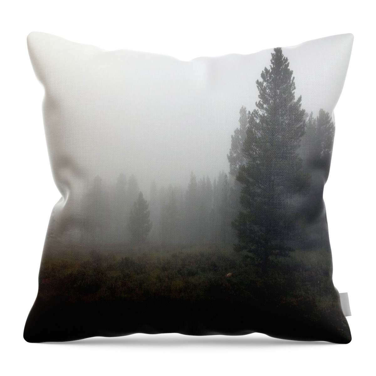 Mist Throw Pillow featuring the photograph Foggy Morning #1 by Outside the door By Patt