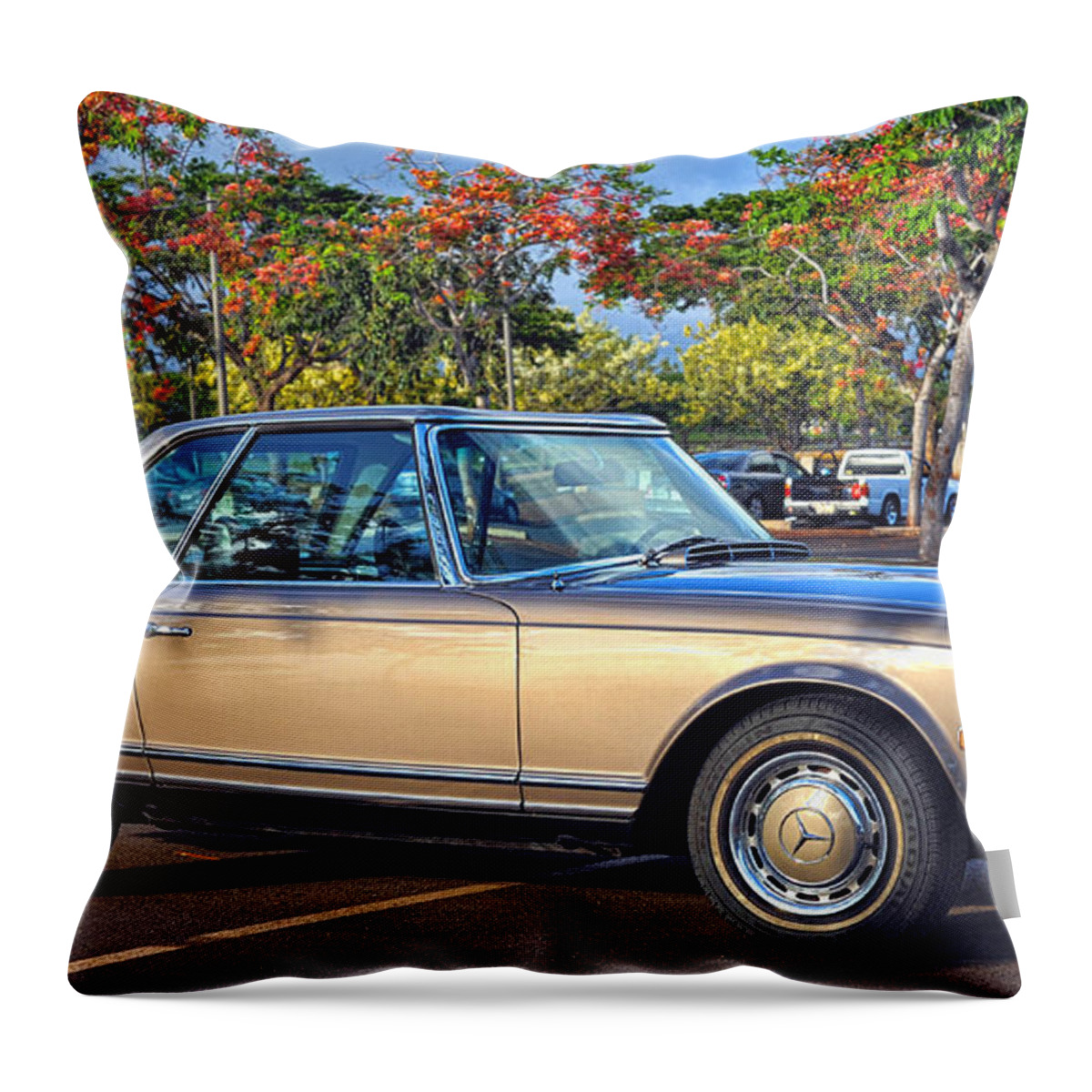 Hawaii Throw Pillow featuring the photograph For Neuman by Dan McManus